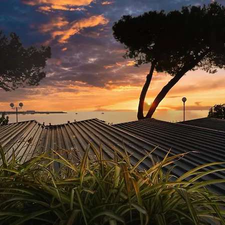 Seven Boutique Hotel