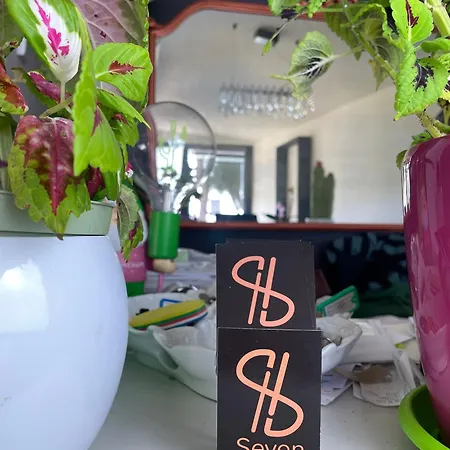 Seven Boutique 호텔 세스트리레반떼