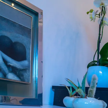 Seven Boutique Hotel